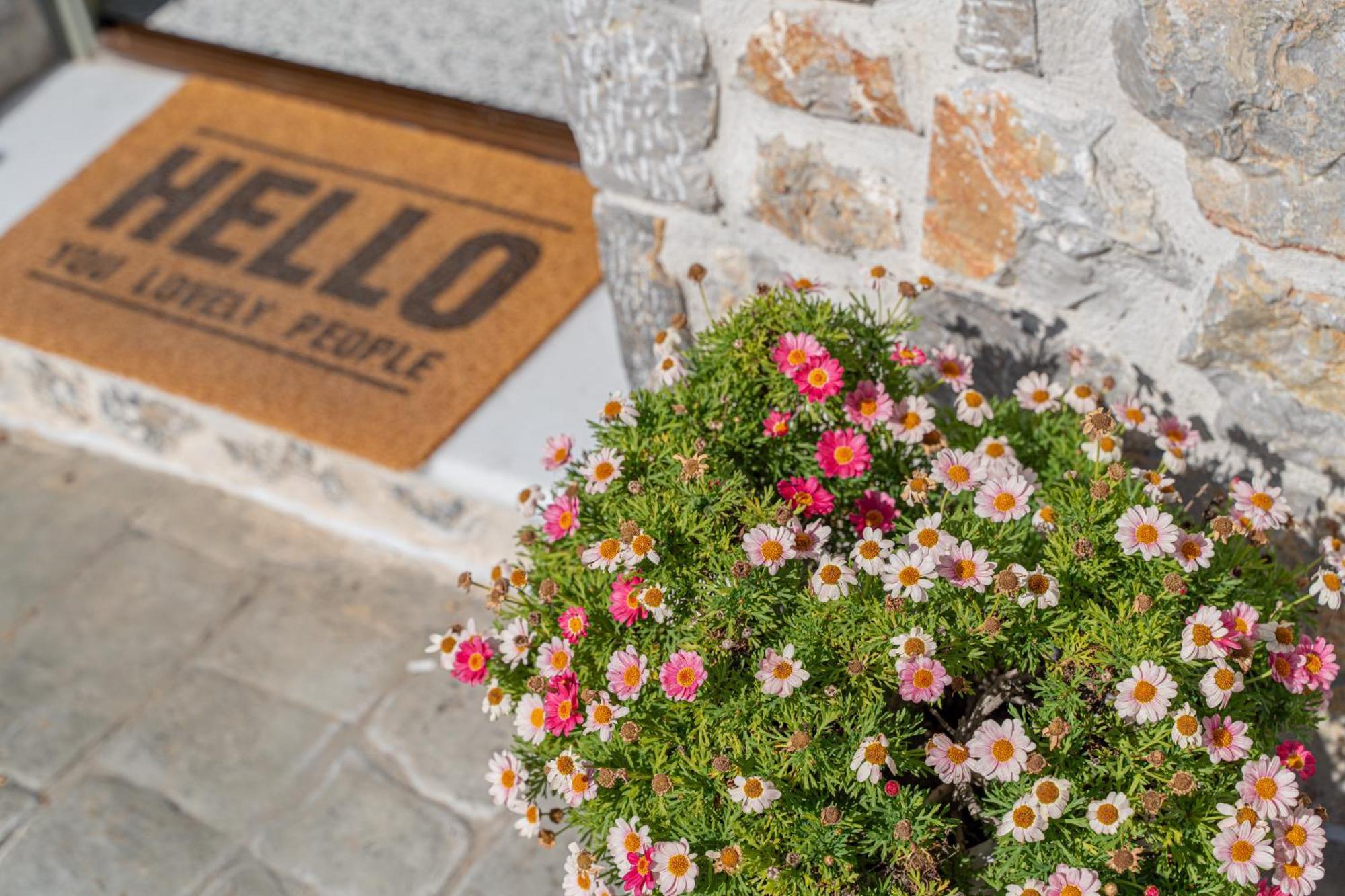 Lagoudi Zia Villa Rosa - Luxury Villas With Panoramic Views מראה חיצוני תמונה